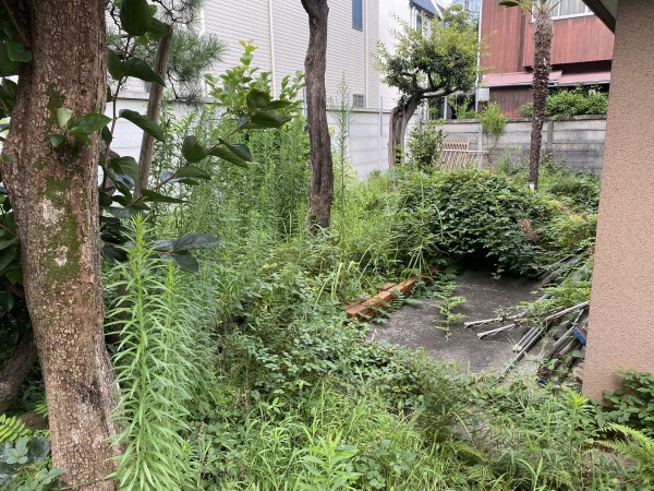 06_渋谷区　O様　除草作業（作業前）